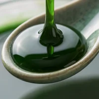 Chlorophylle